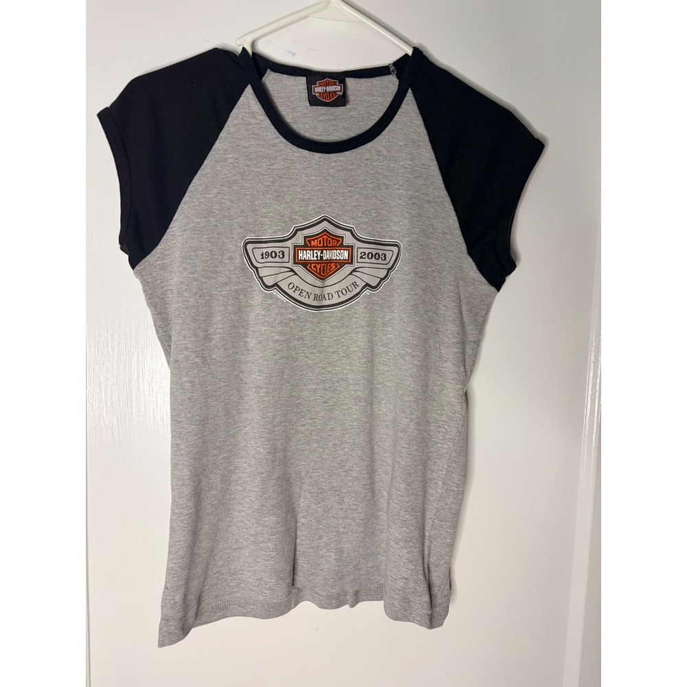 Harley Davidson Womens Open Road Tour 1903-2003 Raglan Graphic T-Shirt Grey S